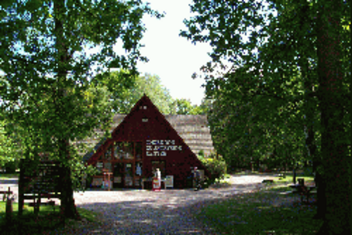 Thorndon Country Park