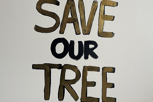 Save our Tree, Priests Lane