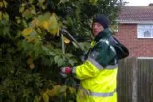 Cllr Barry Aspinell works on the overgrown shrubs