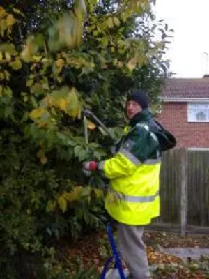 Cllr Barry Aspinell works on the overgrown shrubs