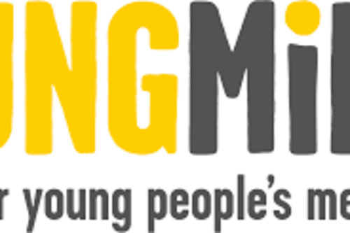 Young Minds logo