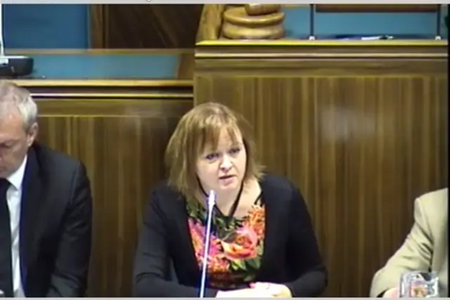 Cllr Karen Chilvers chairs September's Overview and Scrutiny Committee