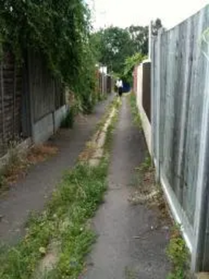 BEFORE: The overgrown pathway